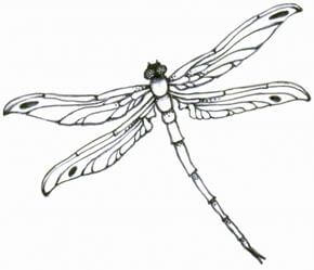 Dragonfly Tattoo Design - see more designs on https://thebodyisacanvas.com