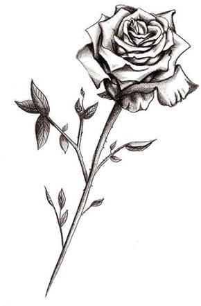 Rose Tattoo Design - see more designs on https://thebodyisacanvas.com