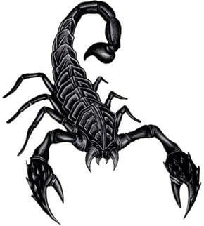 Scorpion Tattoo Design - see more designs on https://thebodyisacanvas.com