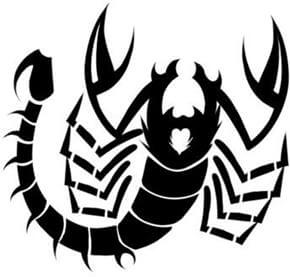 Scorpion Tattoo Design - see more designs on https://thebodyisacanvas.com