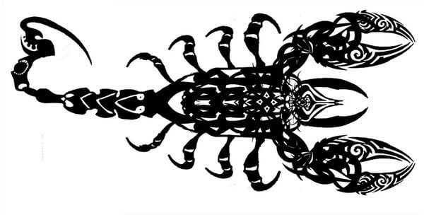 Black Scorpion Tattoo Design