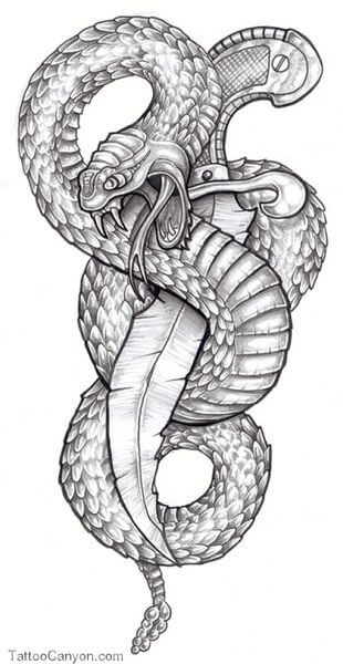 Snake Tattoo Designs - The Body is a Canvas