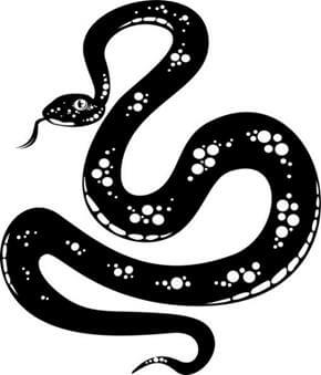 Snake Tattoo Design - see more designs on https://thebodyisacanvas.com